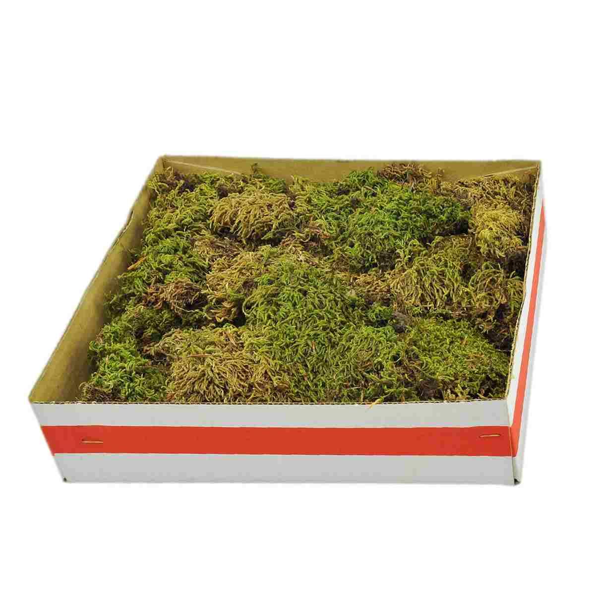 Muschio Naturale gr.300 | Moranduzzo