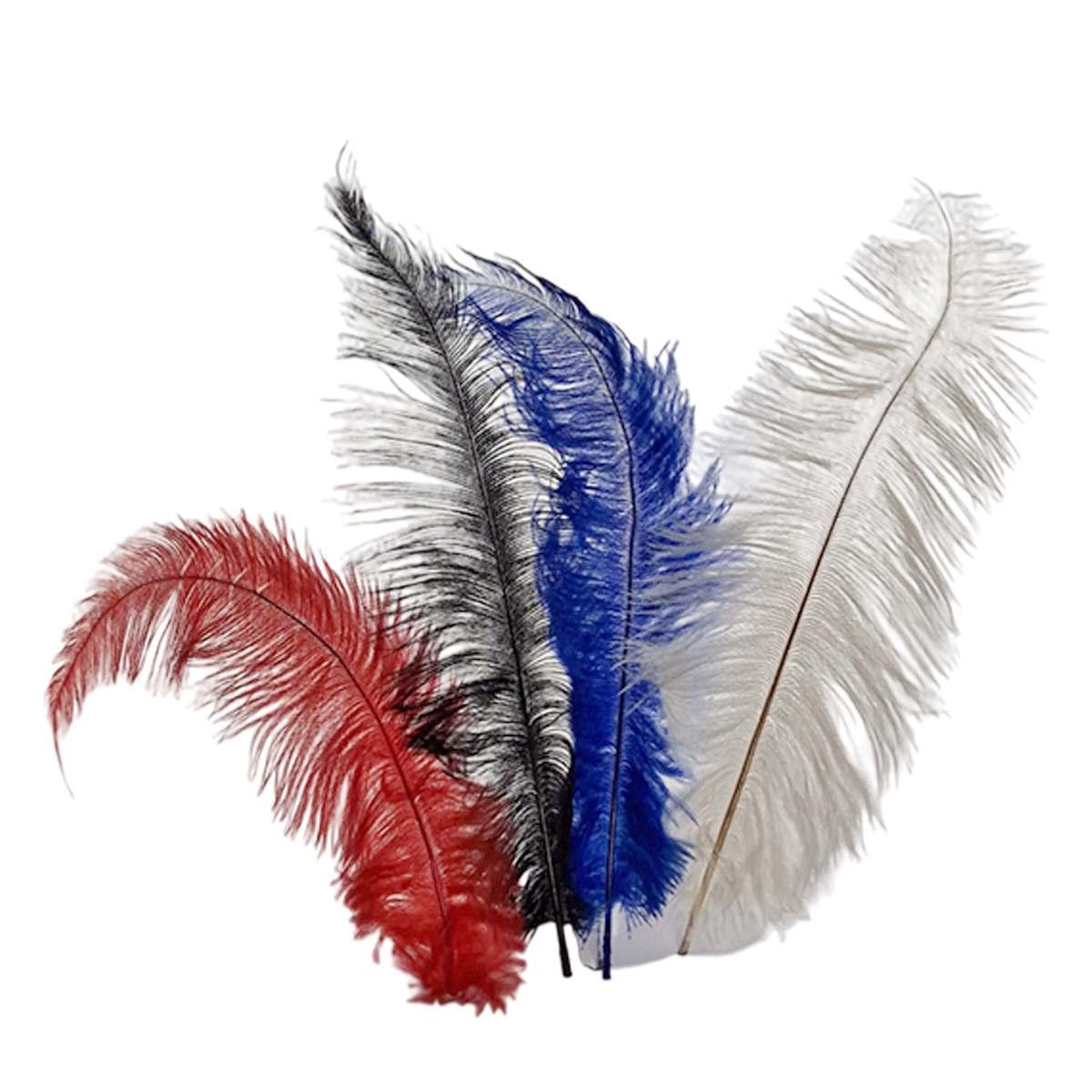 Piume Struzzo cm.35/40 Set pz.5 |Orlob