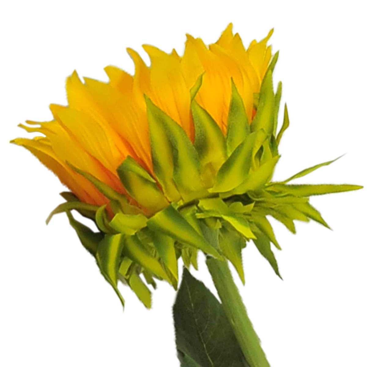 Fiore Girasole Maxi S Flover x1 | Gicos