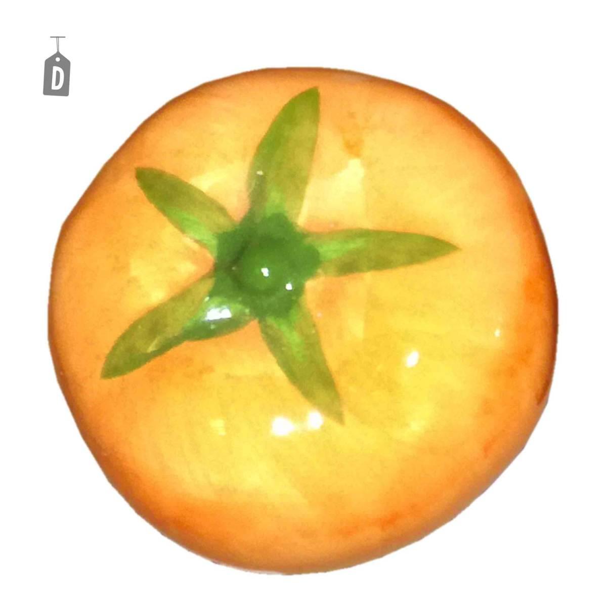 Tappo Sughero Ceramica Decorato Disponibile 7 Modelli | M2 Store