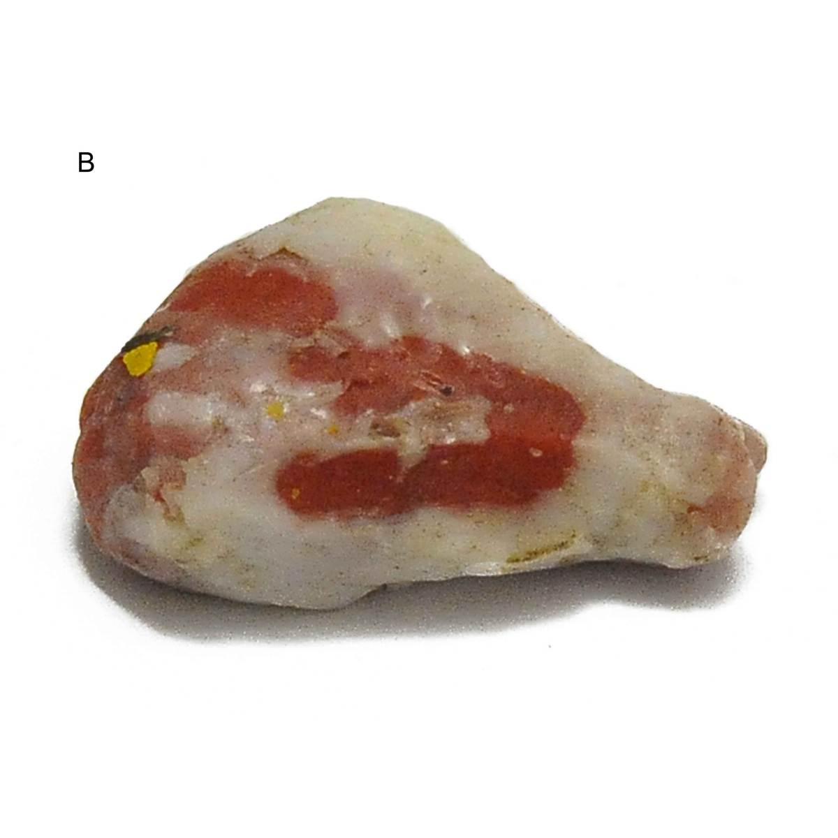 Alimenti Carne in Pezzi cm.7x5 6 Modelli | Rossi Rosa