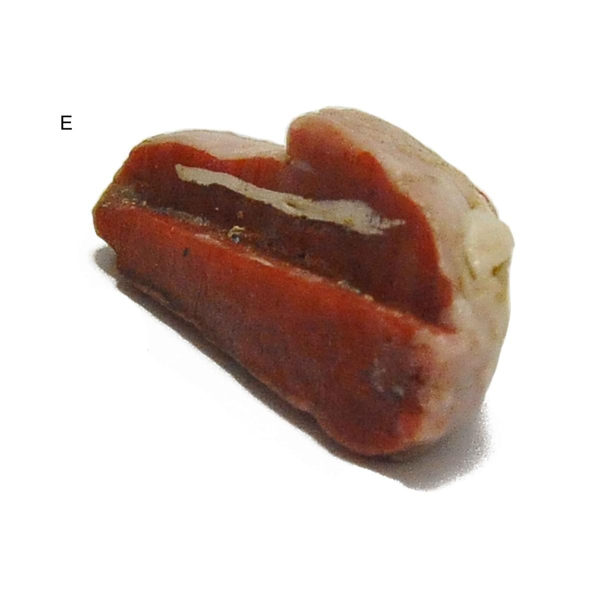 Alimenti Carne in Pezzi cm.7x5 6 Modelli | Rossi Rosa