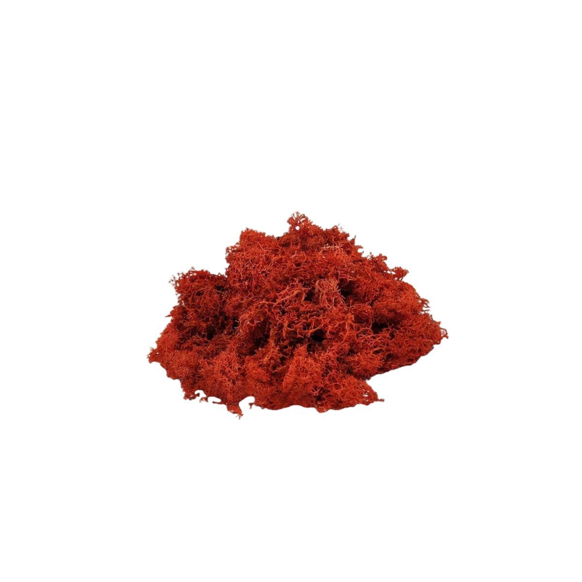 Lichene Sintetico Rosso gr.100 | Rossi Rosa