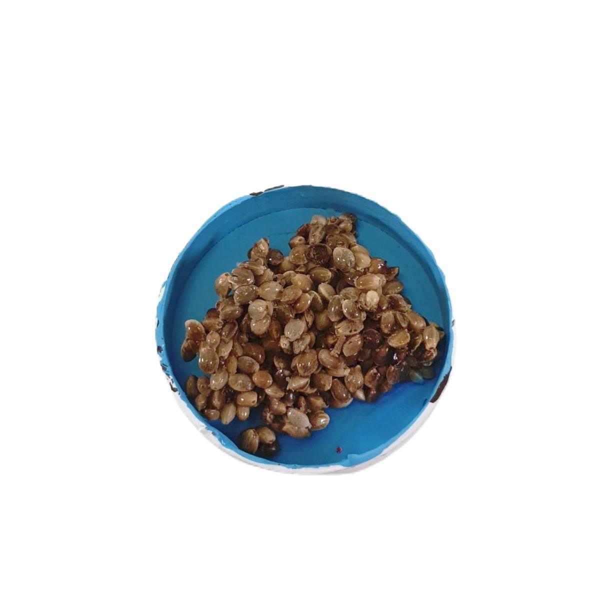 Cassetta Pesce e Vongole cm.5xH1 | Rossi Rosa