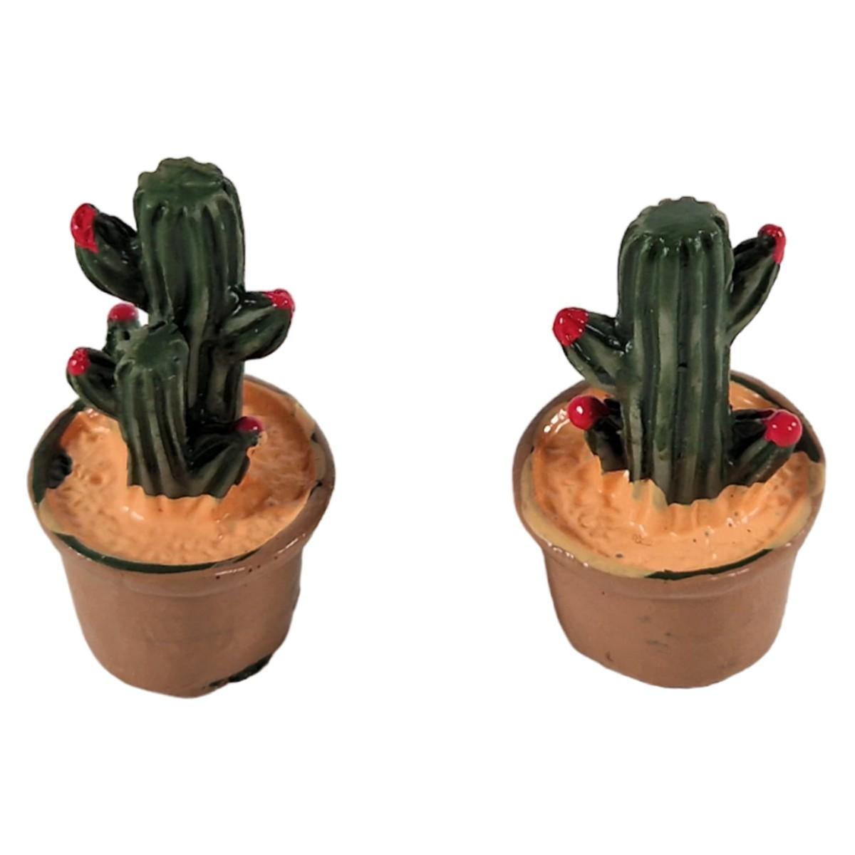 Piantine Cactus Verdi in Set 2 Pezzi | Rossi Rosa
