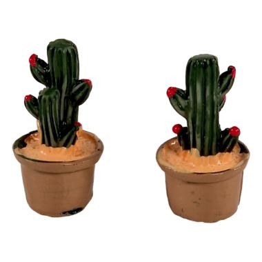 Piantine Cactus Verdi in Set 2 Pezzi | Rossi Rosa