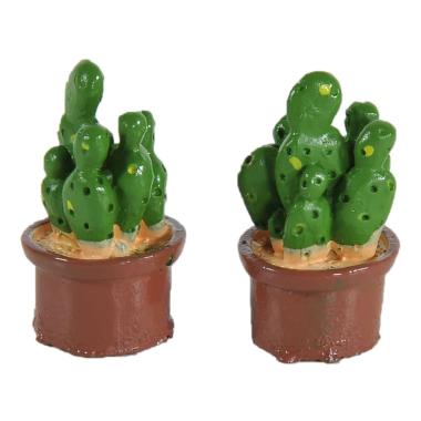 Piantine Cactus Verdi in Set 2 Pezzi | Rossi Rosa