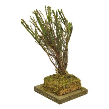 Albero Saggina cm.15 | Rossi Rosa