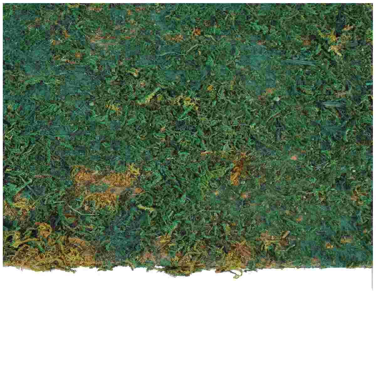 Tappeto Carta Prato Verde Azzurra con Muschio cm.50x70 | Papa Noel