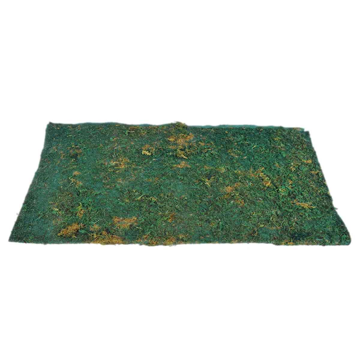 Tappeto Carta Prato Verde Azzurra con Muschio cm.50x70 | Papa Noel