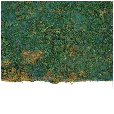 Tappeto Carta Prato Verde Azzurra con Muschio cm.50x70 | Papa Noel