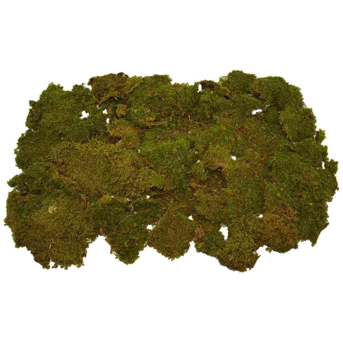 Muschio Naturale Tappeto Essiccato gr.350 cm.80x50 | Rossi Rosa