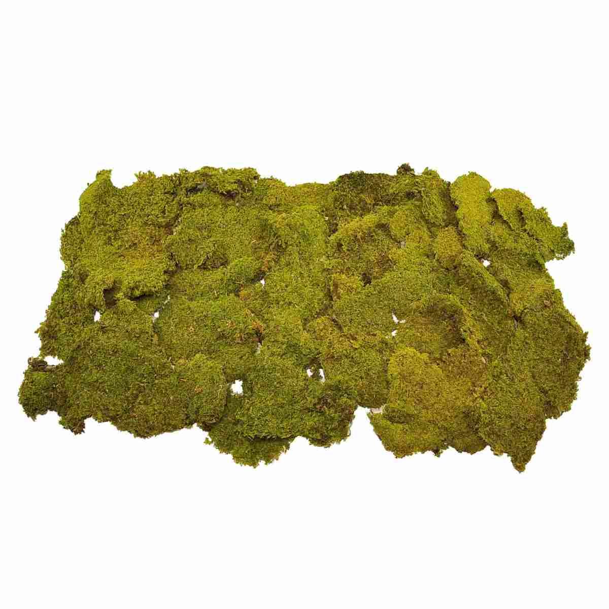 Muschio Naturale Tappeto Essiccato gr.500 cm.100x70 | Rossi Rosa