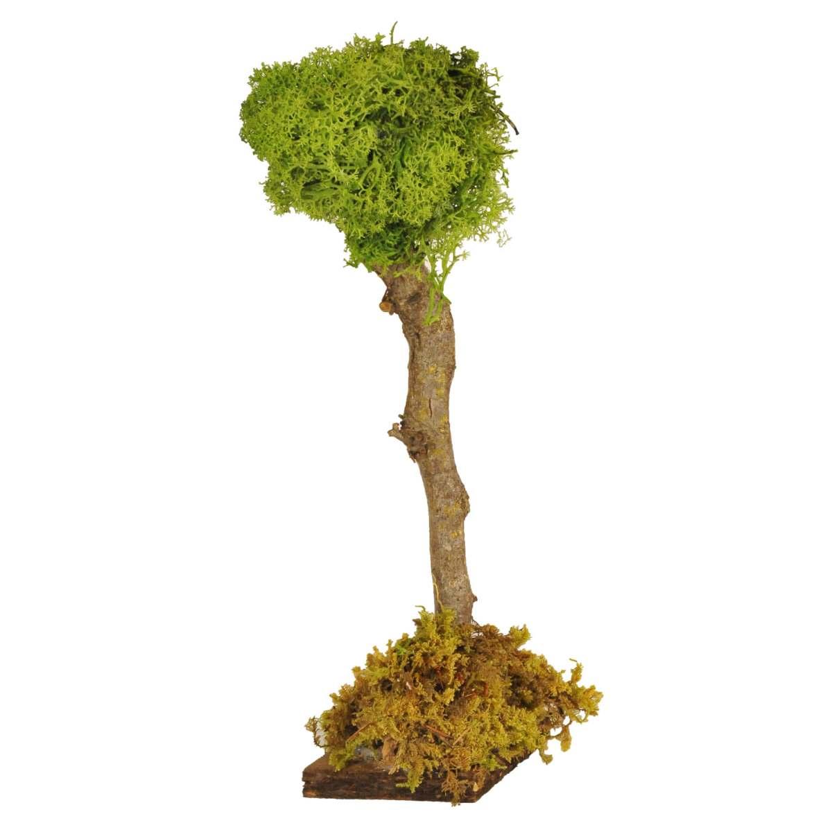 Albero con Fusto Legno e Lichene Verde cm.30 | Rossi Rosa