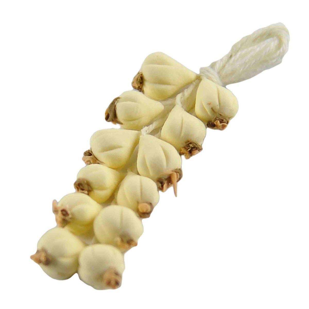 Alimenti Treccia di Aglio cm.7 | Rossi Rosa