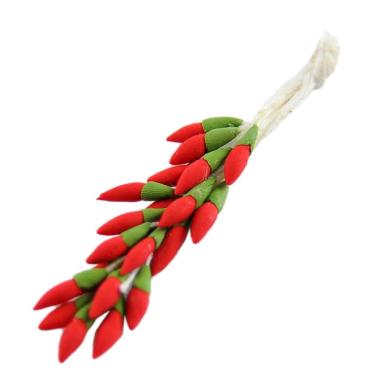 Alimenti Treccia di Peperoncini cm.7 | Rossi Rosa