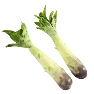 Alimenti Cime di Rapa cm.1x4,5 Set pz.2 | Rossi Rosa