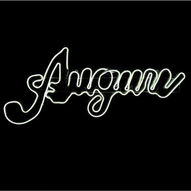 Luci Natale Esterno LED 840 Scritta Auguri Bianco Freddo cm.120x55 |Moranduzzo