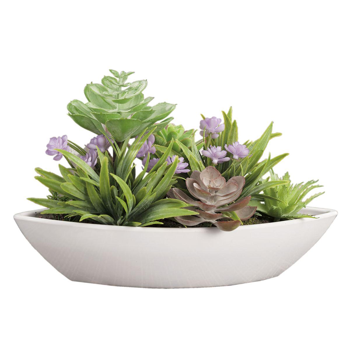 Fiore Vasetto Pianta Grassa cm.25x10x15 | M2 Store