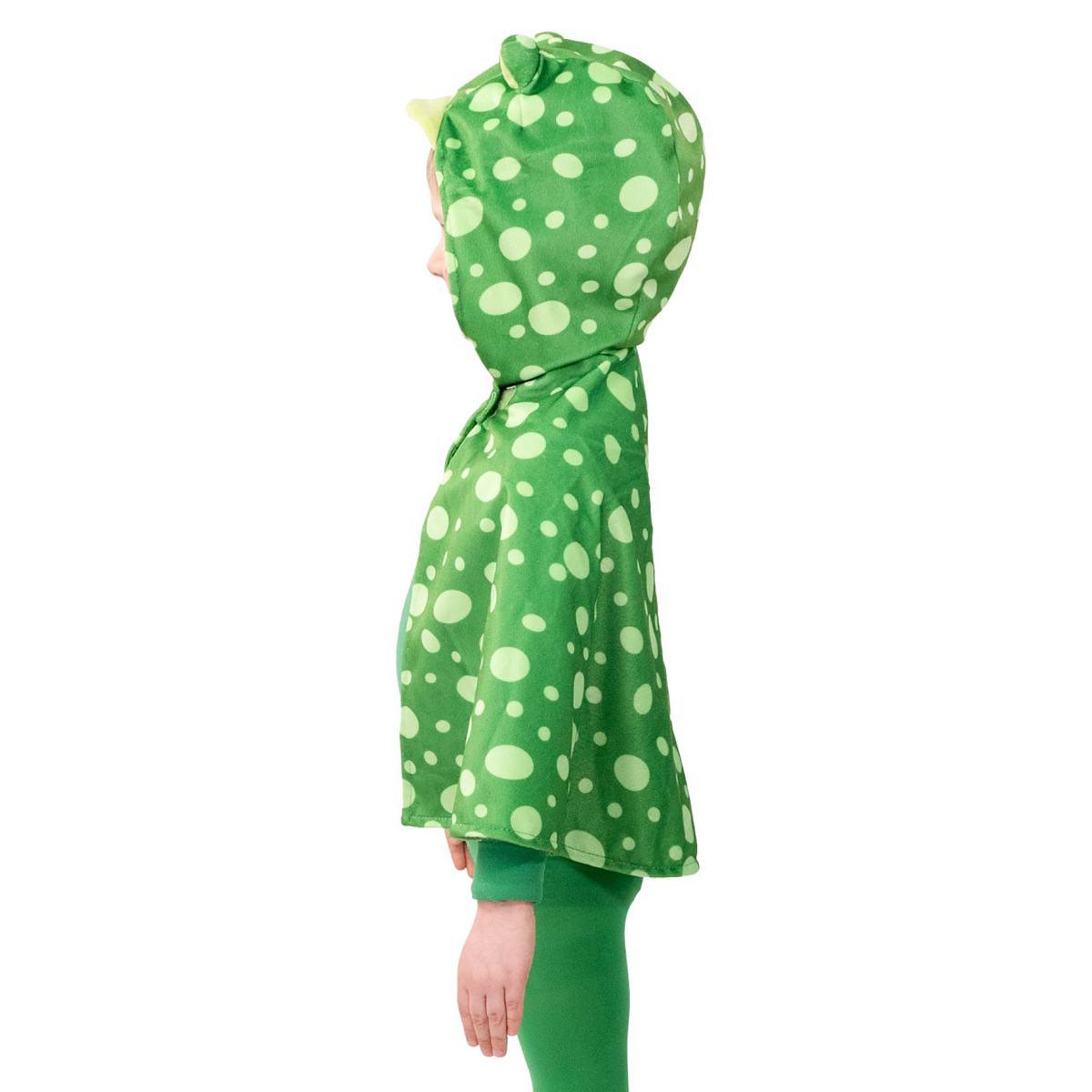 Mantella Rana |Orlob