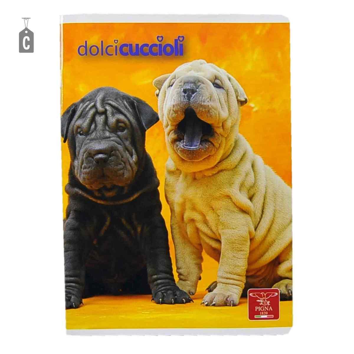 Quaderno Mod. A5 Riga 10mm 13 Modelli Assortiti |Pool Over