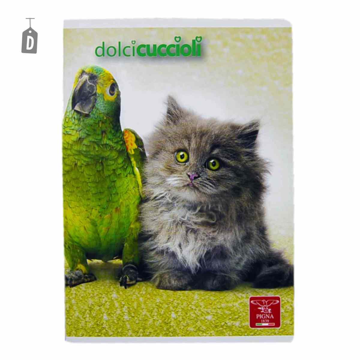 Quaderno Mod. A5 Riga 10mm 13 Modelli Assortiti |Pool Over