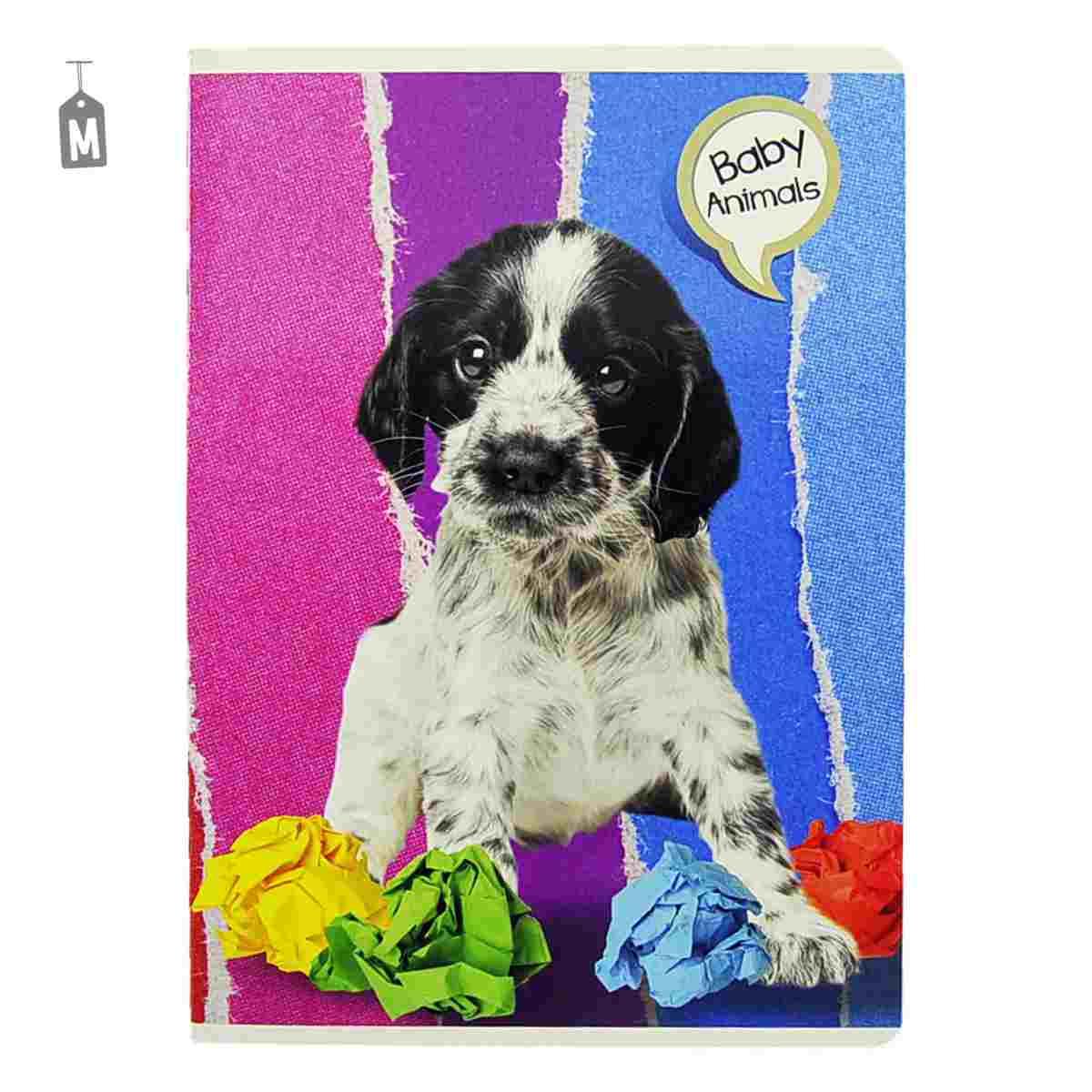 Quaderno Mod. A5 Riga 10mm 13 Modelli Assortiti |Pool Over