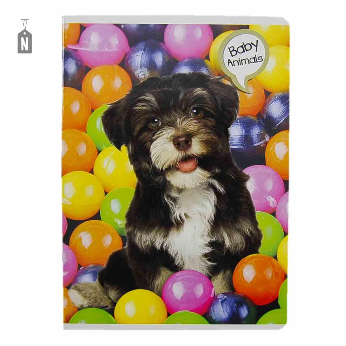 Quaderno Mod. A5 Riga 10mm 13 Modelli Assortiti |Pool Over