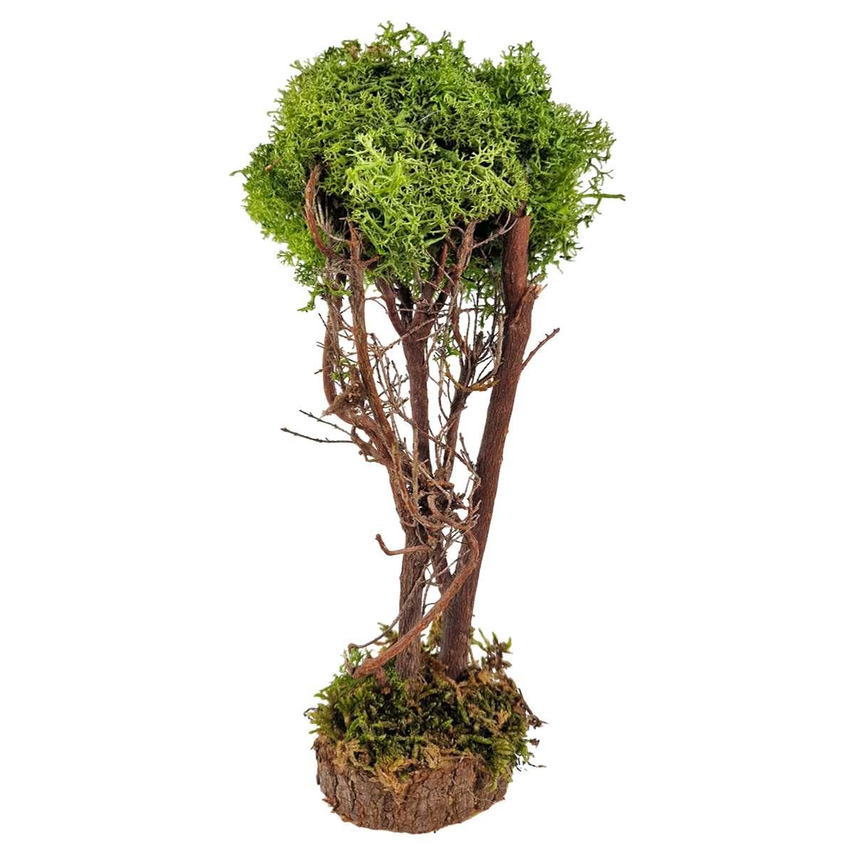 Albero di Lichene Verde con Base Legno cm.h24 | M2 Store