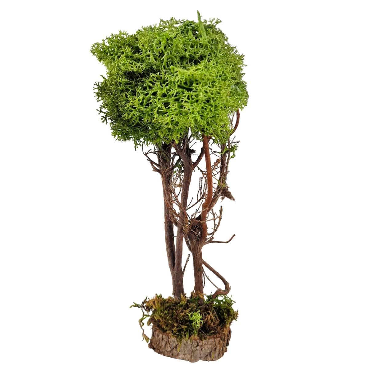 Albero di Lichene Verde con Base Legno cm.h24 | M2 Store