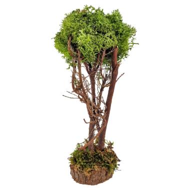 Albero di Lichene Verde con Base Legno cm.h24 | M2 Store
