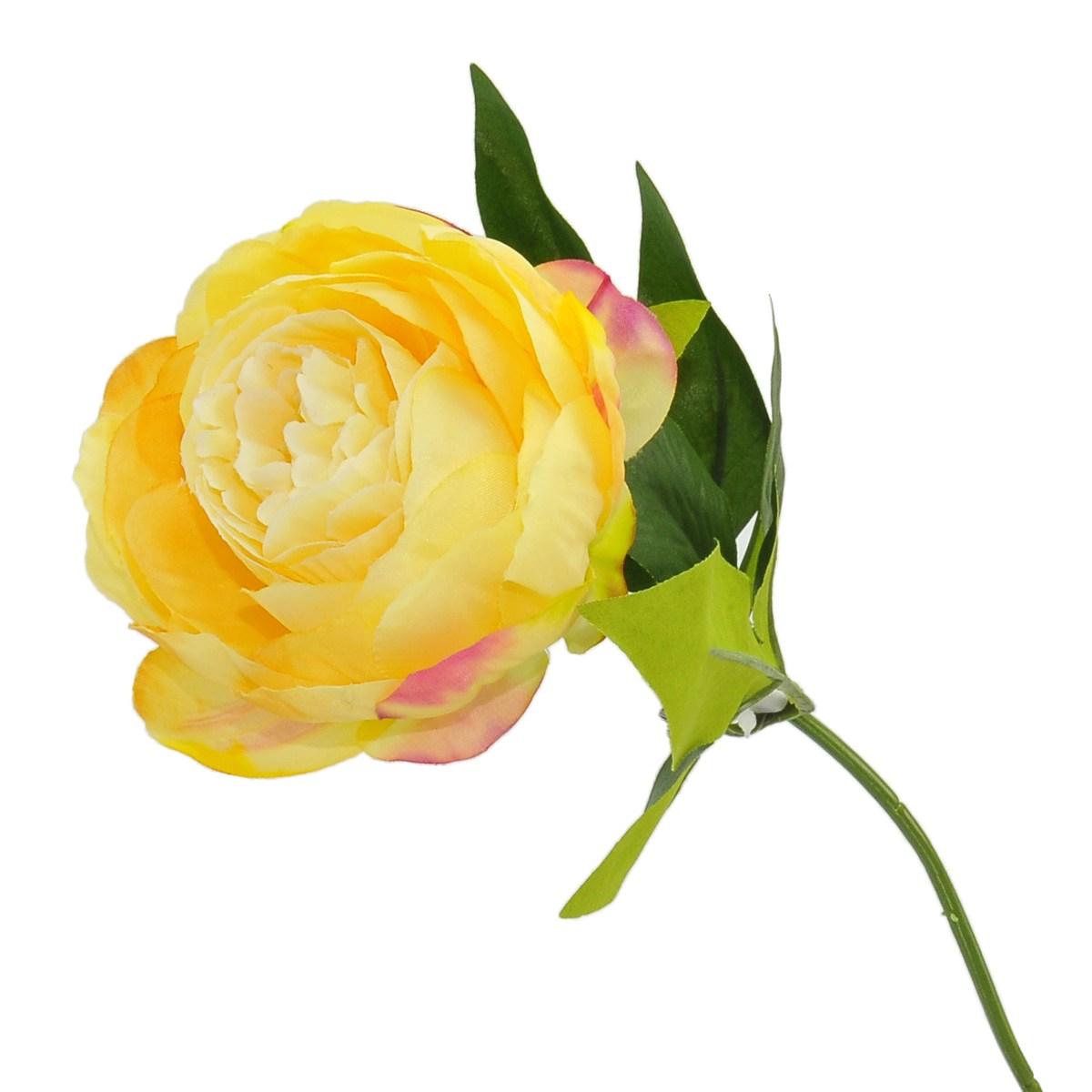 Fiore Peonia cm.53 | M2 Store