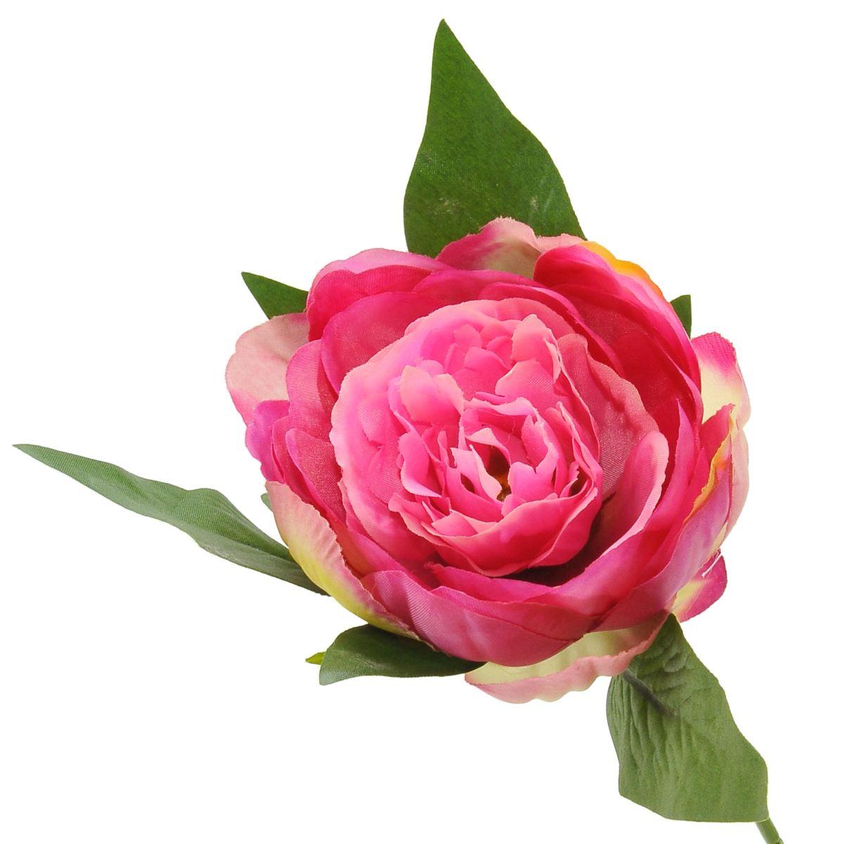 Fiore Peonia cm.53 | M2 Store