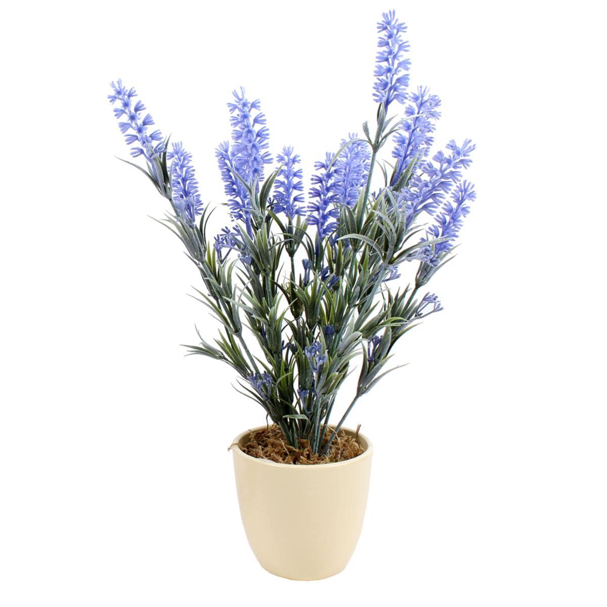Fiore Vasetto Lavanda cm.10xh39 | M2 Store