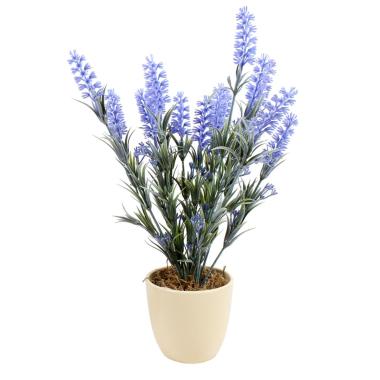 Fiore Vasetto Lavanda cm.10xh39 | M2 Store