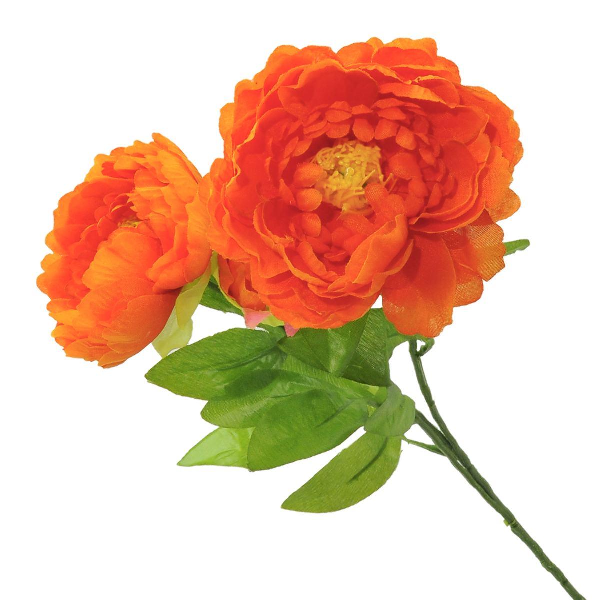 Fiore Ranuncolo cm.65 Assortito | M2 Store