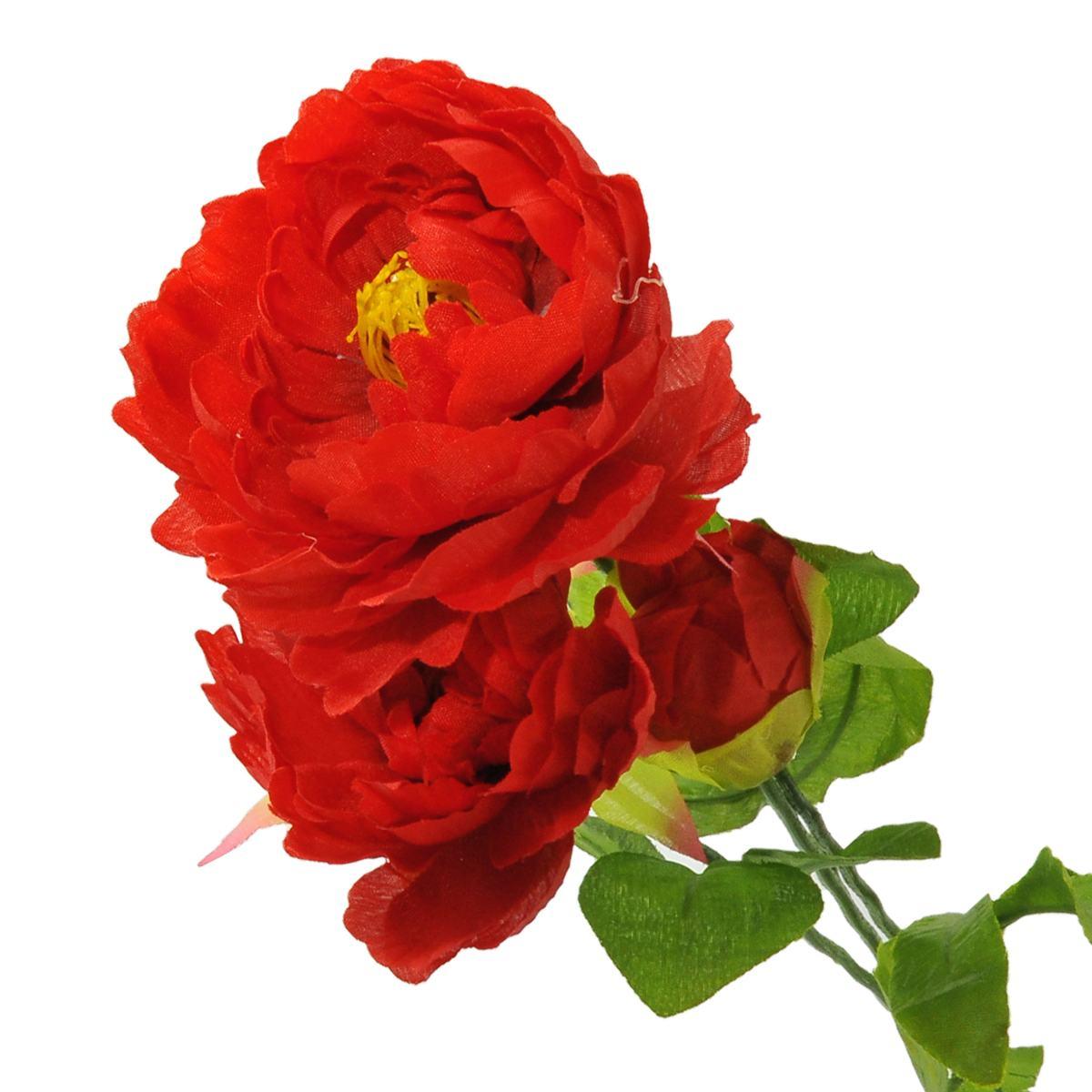 Fiore Ranuncolo cm.65 Assortito | M2 Store