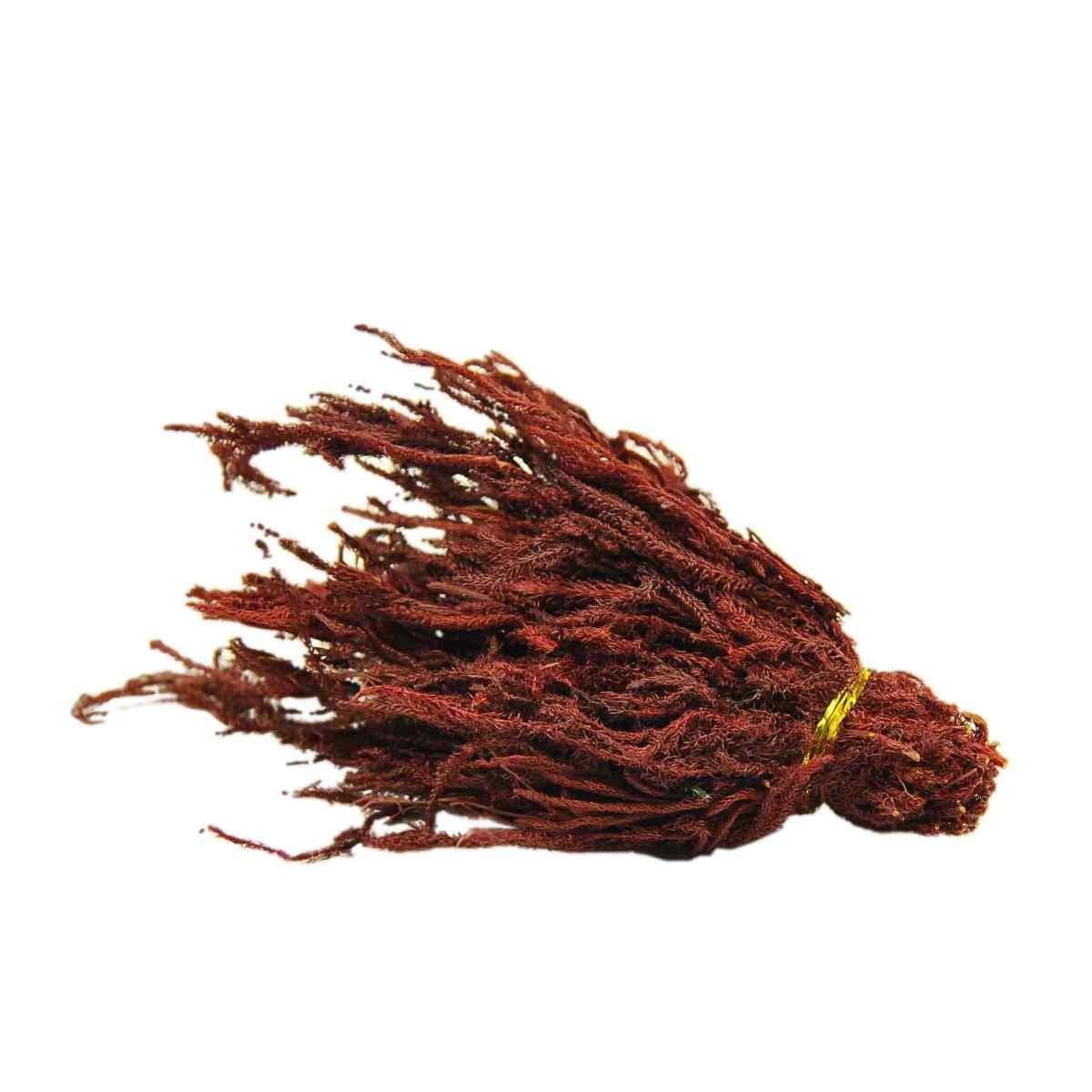 Erbetta cm.10x6xH21 gr.50 | M2 Store