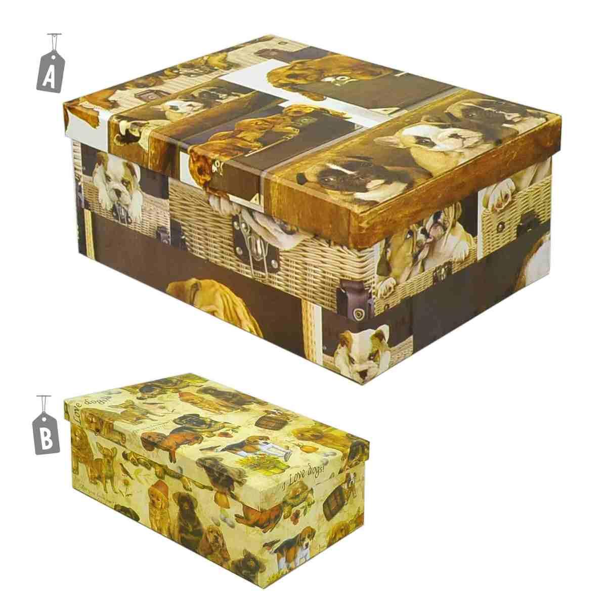 Scatola Cartone 05 Fiori Animali Assortiti | M2 Store