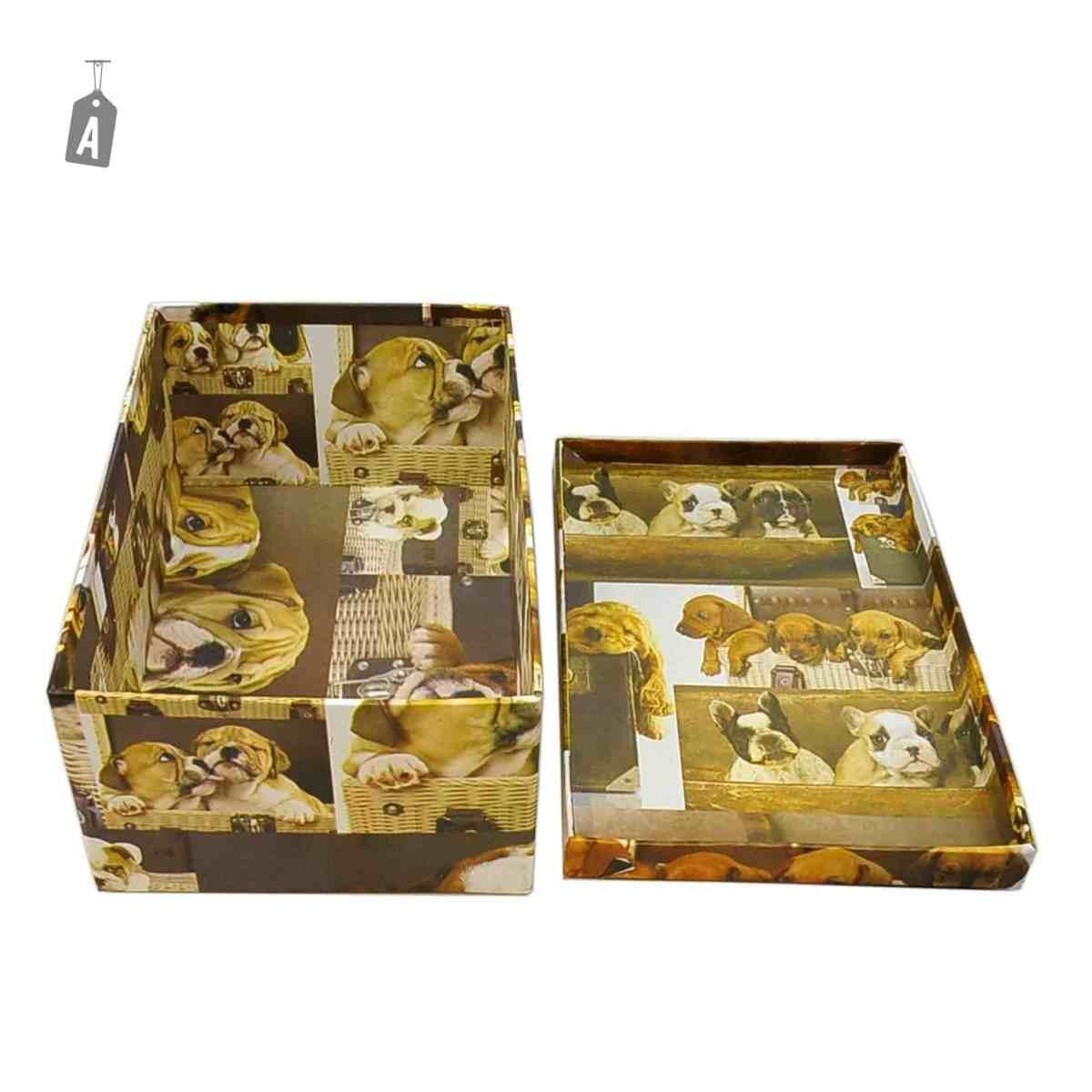 Scatola Cartone 05 Fiori Animali Assortiti | M2 Store