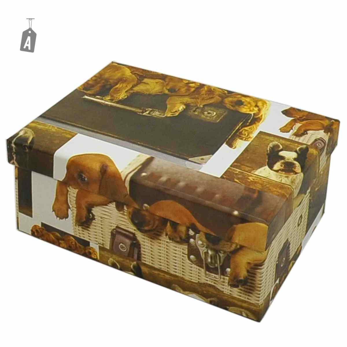 Scatola Cartone 04 Fiori Animali Assortiti | M2 Store