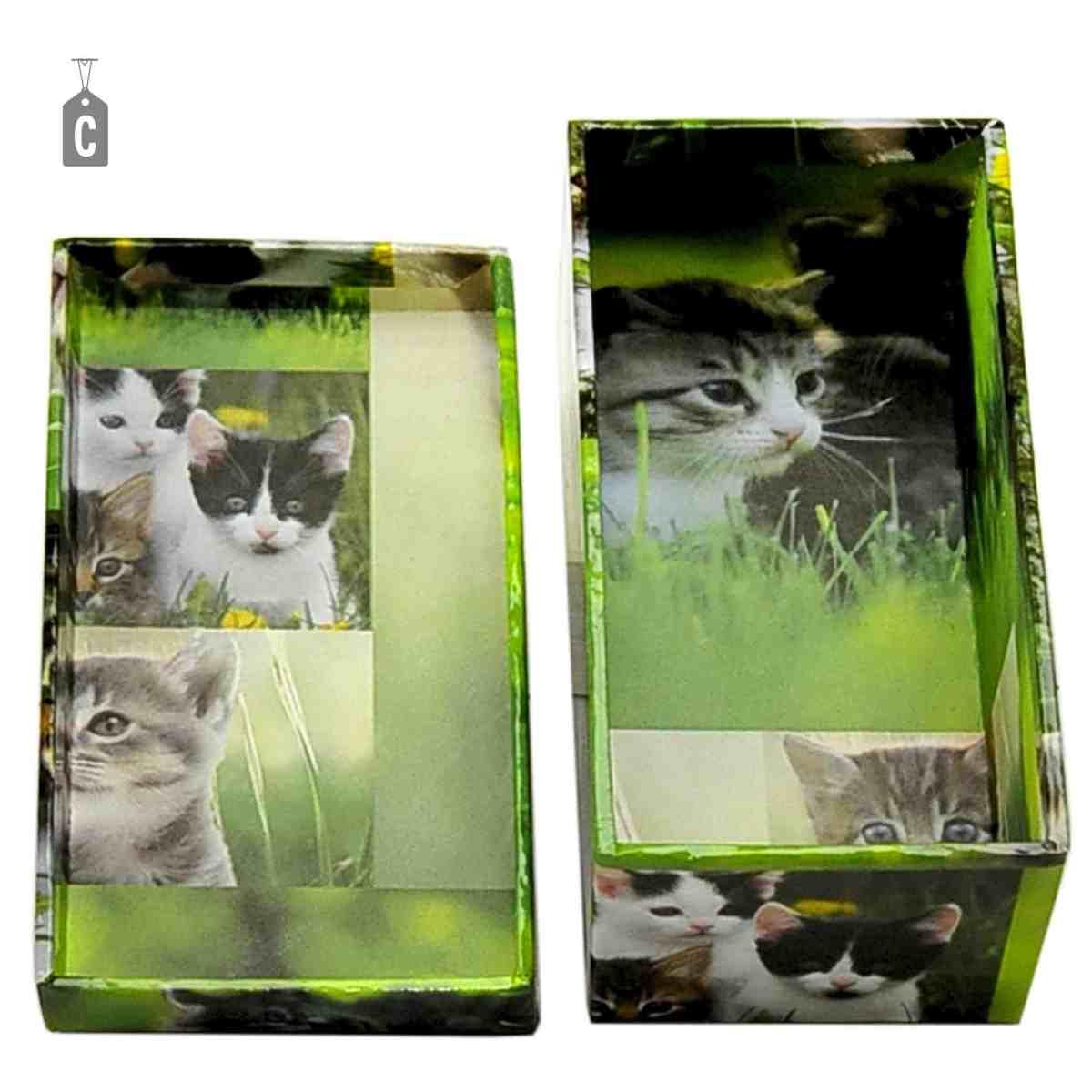 Scatola Cartone 01 Fiori Animali Assortiti | M2 Store