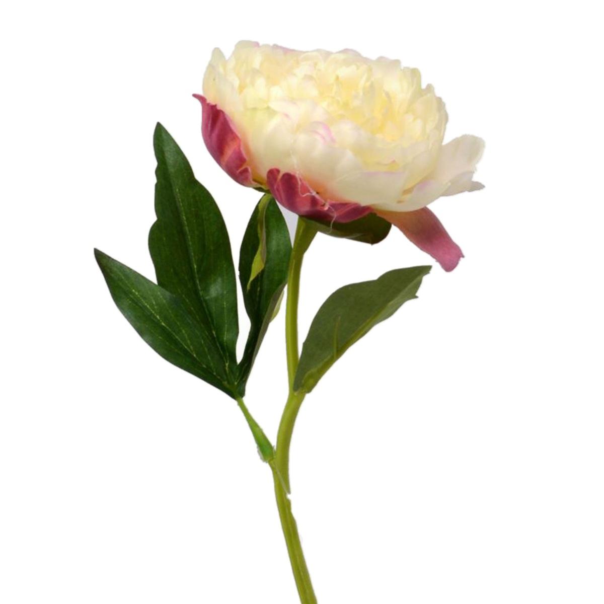 Fiore Peonia Bianco cm.33 | Vacchetti