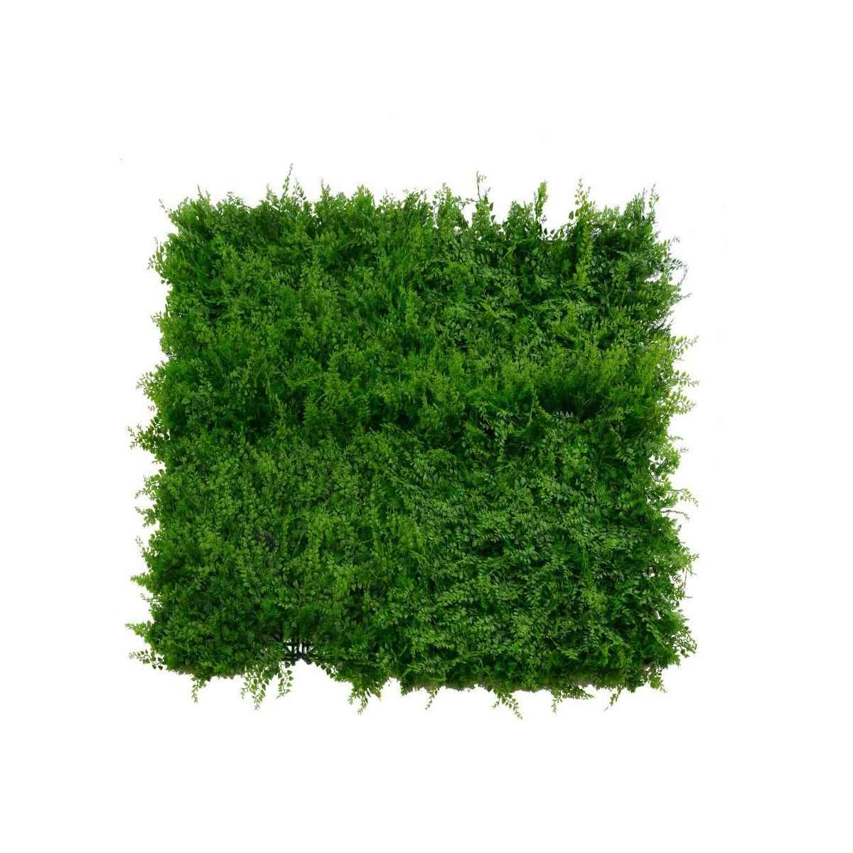 Pannello Erba Misto Felce cm.100x100 | Vacchetti