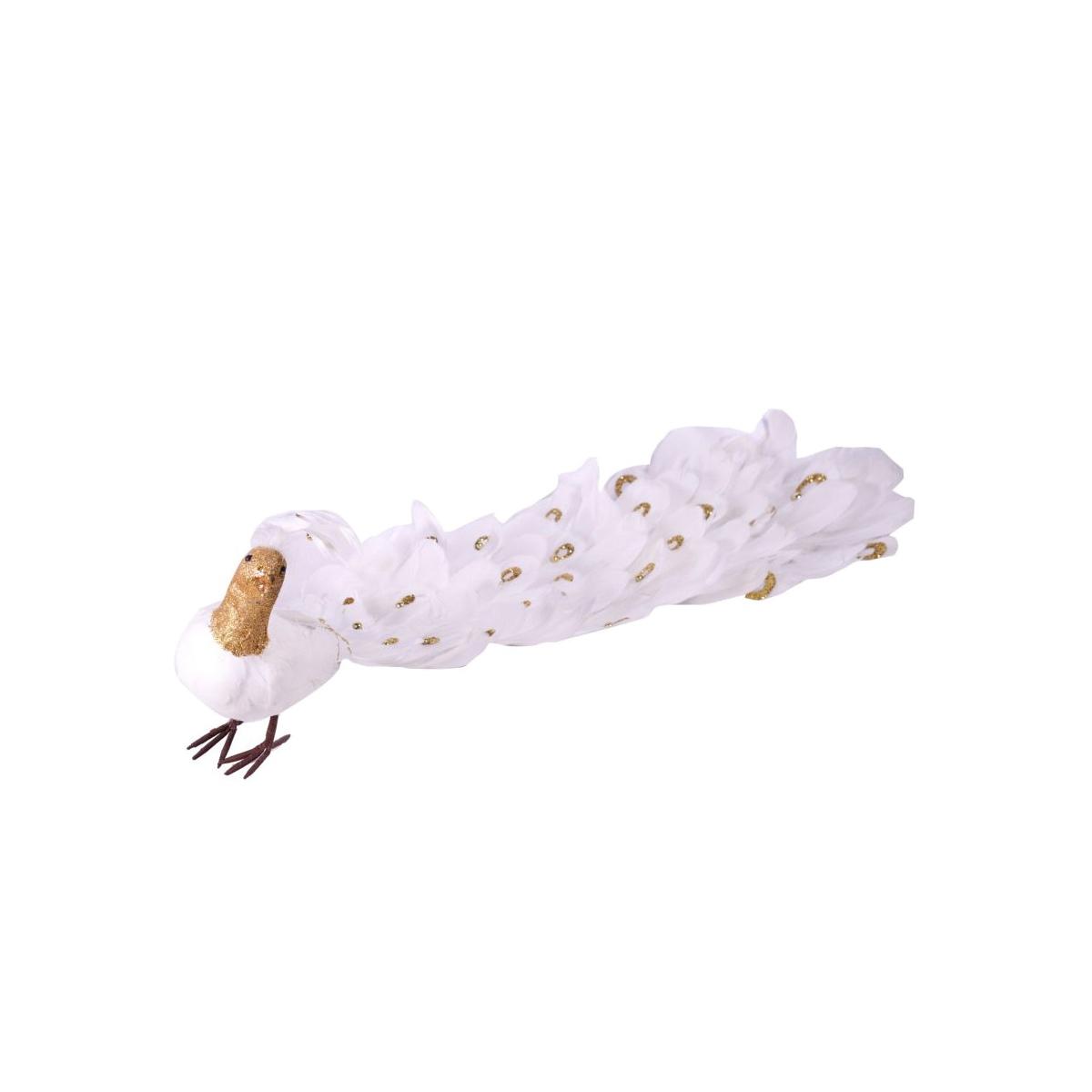 Pavone in Piume Bianche cm.80x22 |Vacchetti