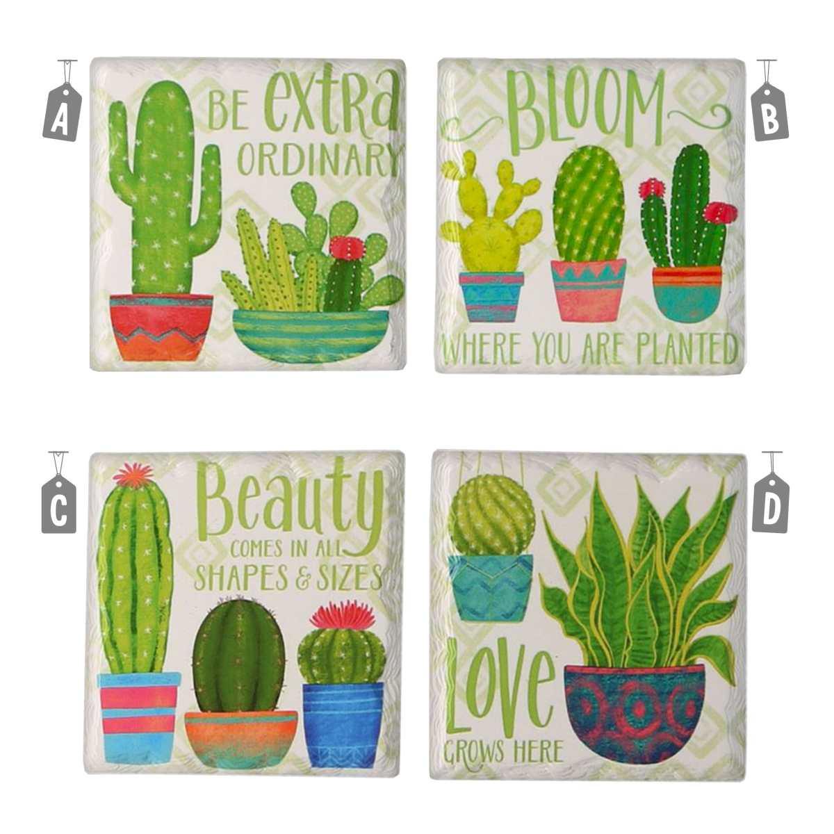 Sottobicchieri Cermica Cactus cm.11 pz.4 | Vacchetti