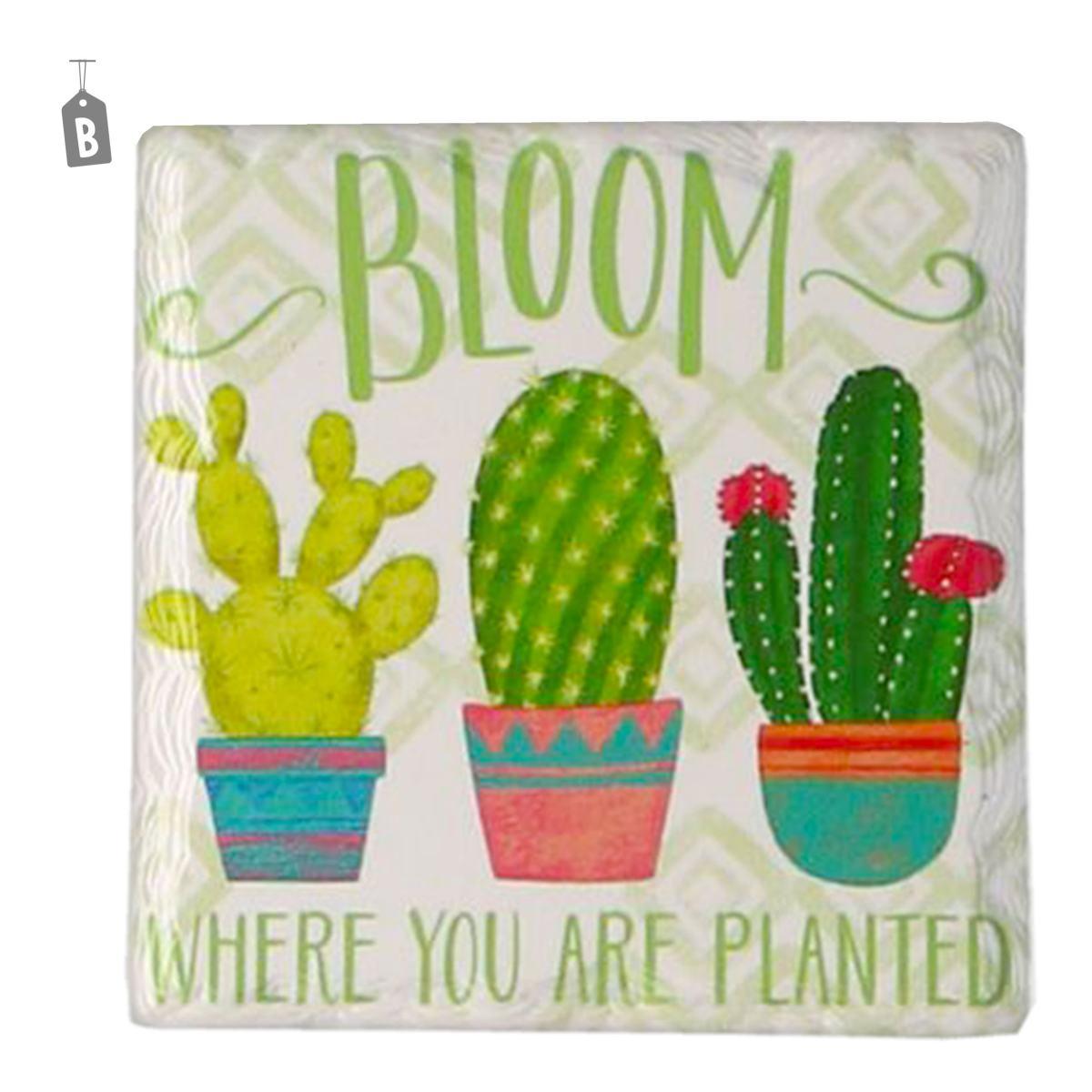 Sottobicchieri Cermica Cactus cm.11 pz.4 | Vacchetti