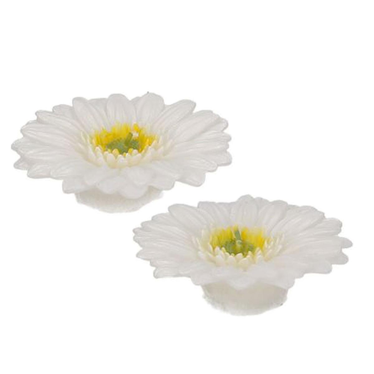 Candela Gerbera Bianca cm.8 pz.2 | Vacchetti