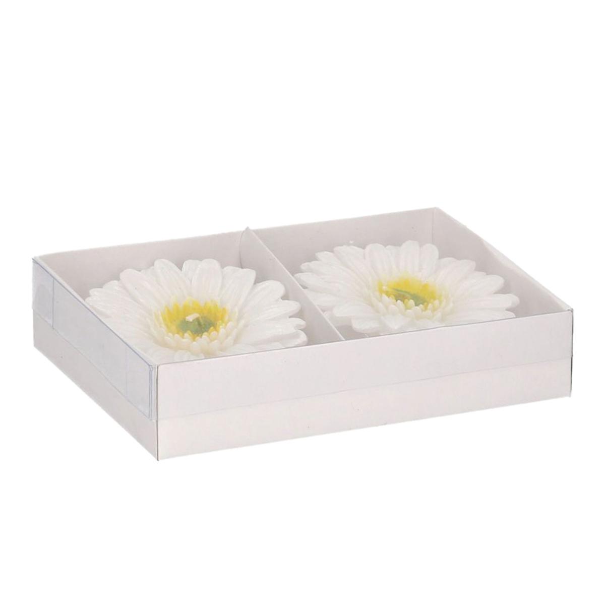 Candela Gerbera Bianca cm.8 pz.2 | Vacchetti