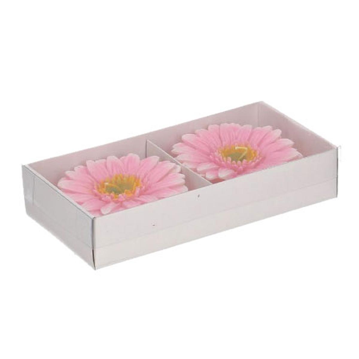 Candela Gerbera Rosa cm.8 pz.2 | Vacchetti